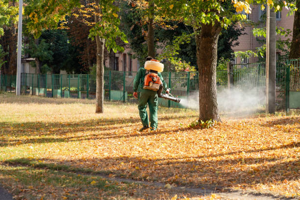 Best Pest Removal Services  in Union City, PA